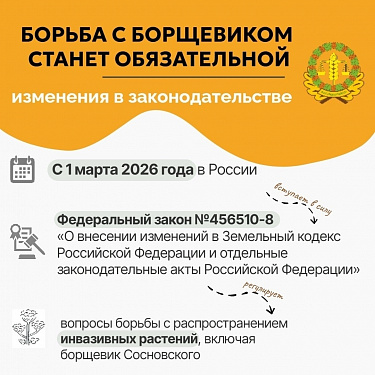 Борьба с борщевиком станет обязательной !