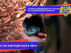Как не заблудиться в лесу: рекомендации спасателей МЧС России.