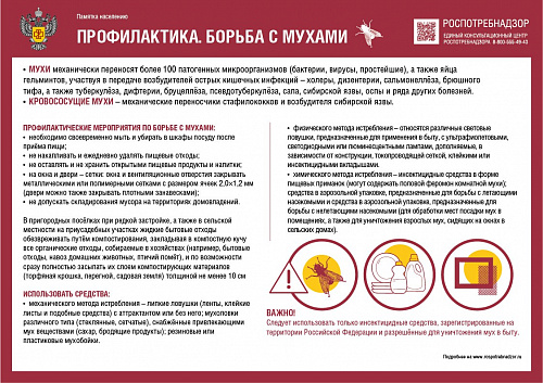 Осторожно – кишечные инфекции!