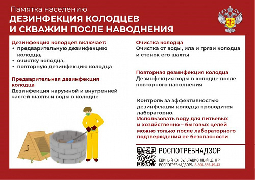 Осторожно – кишечные инфекции!