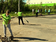 В Архангельской области проходит акция "Чистый регион"
